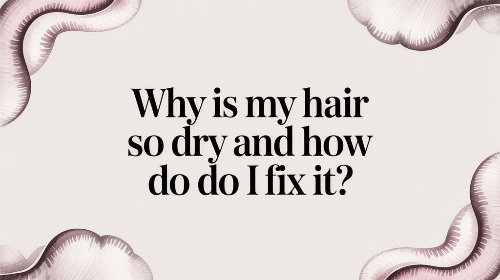 Why Is My Hair So Dry? Your Ultimate Guide to Fixing It
