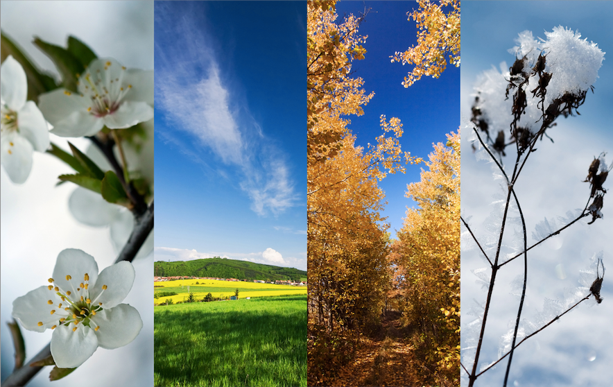 Hair Care Recommendations According to Seasons: Tips for Healthy Locks All Year Round