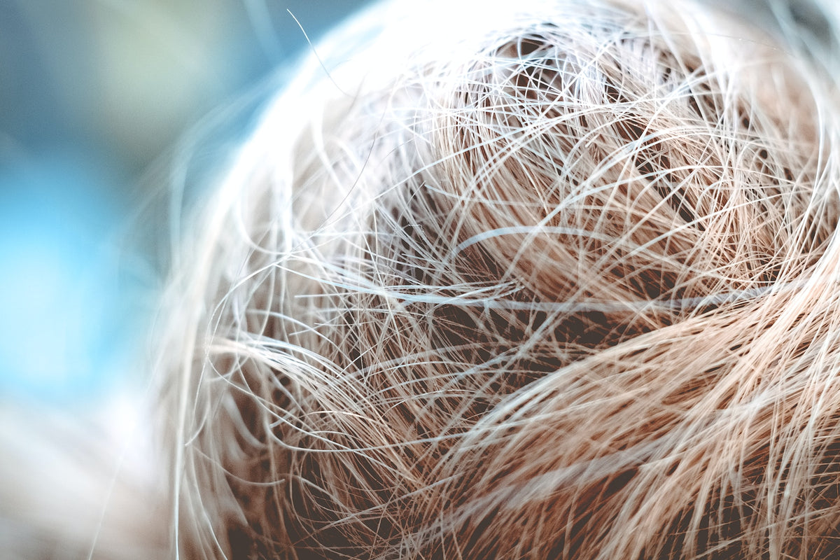 Close-up of tangled pale blonde hair