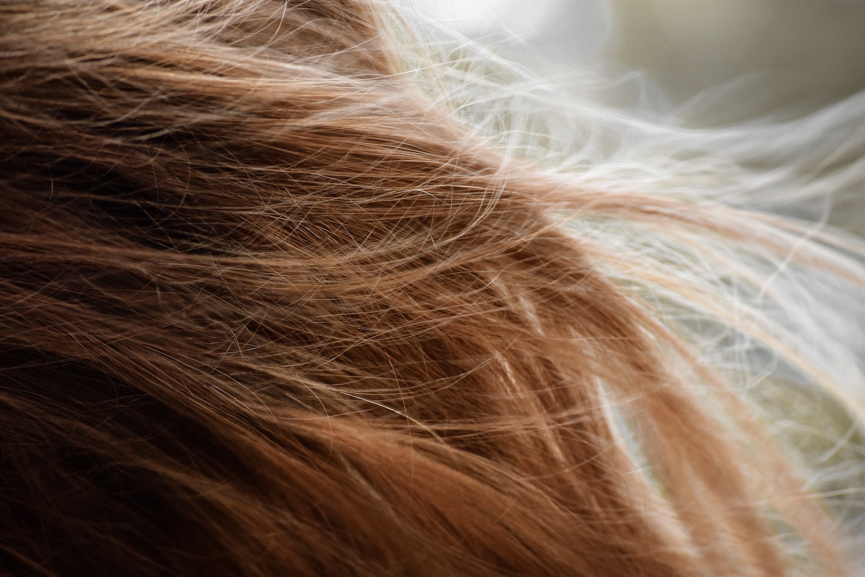 Morfose Milk Therapy Hair Mask: Nourishing Dry and Brittle Hair to Perfection