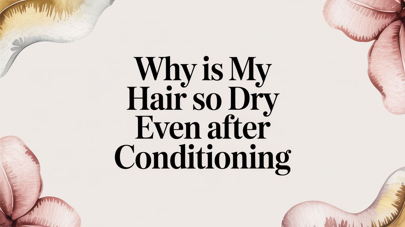 Why Is My Hair So Dry Even After Conditioning