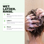 How to use Morfose Metamorfose Pure Detox Shampoo