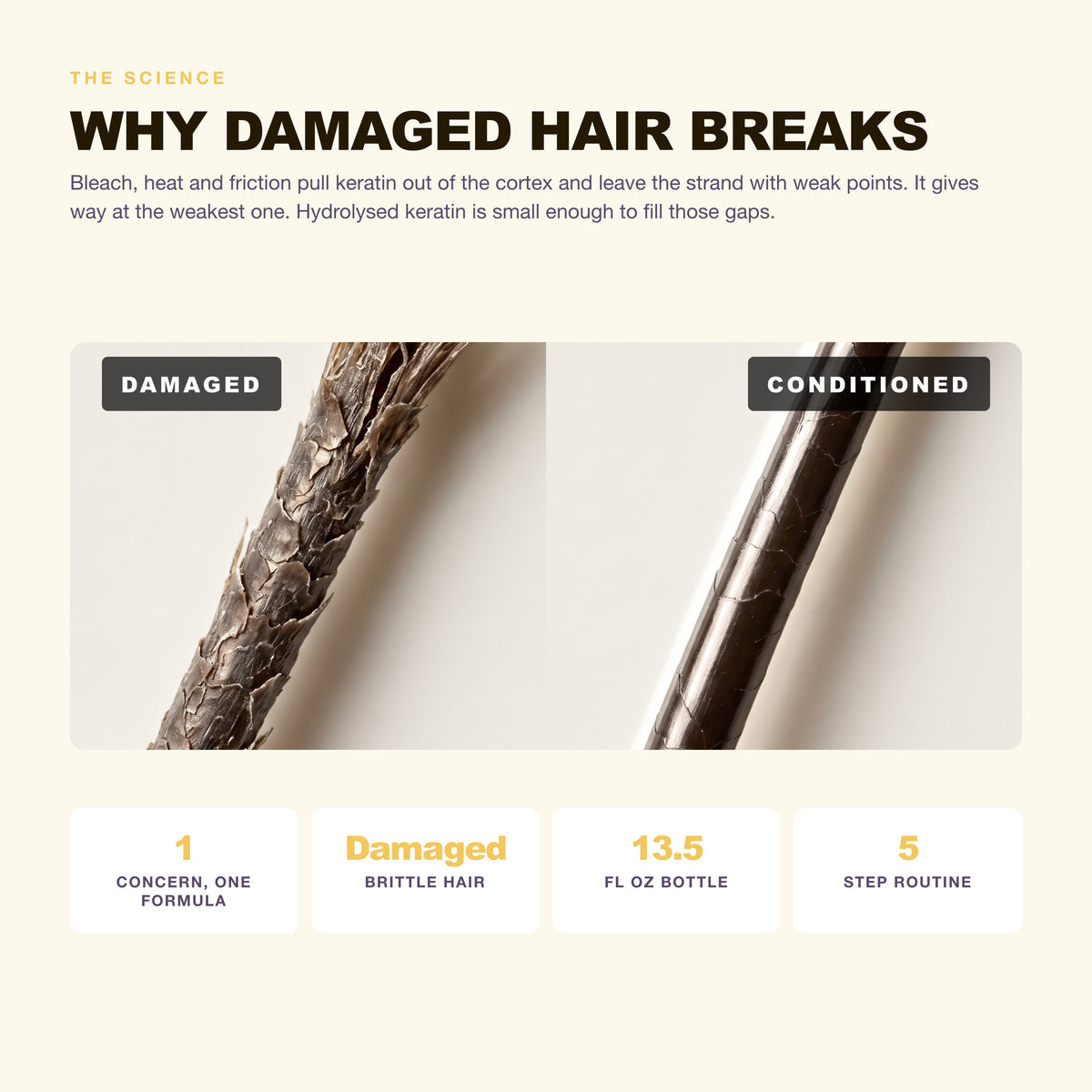 Why damaged, breaking hair happens and what hydrolysed keratin does about it