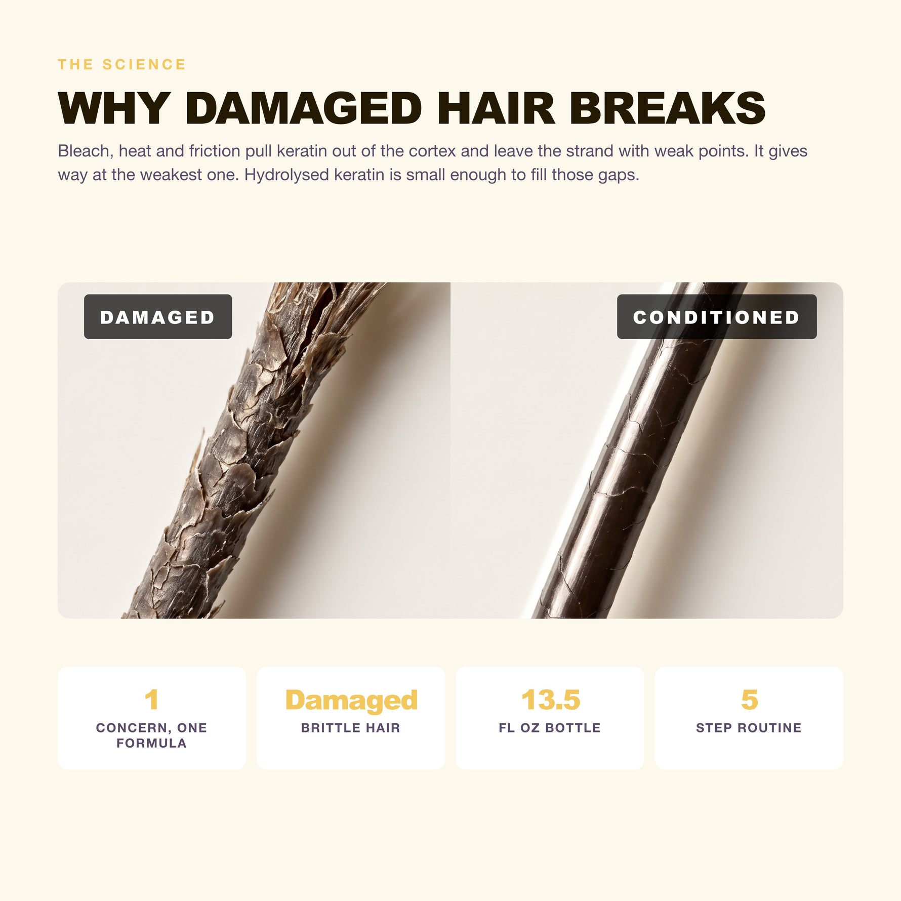 Why damaged, breaking hair happens and what hydrolysed keratin does about it