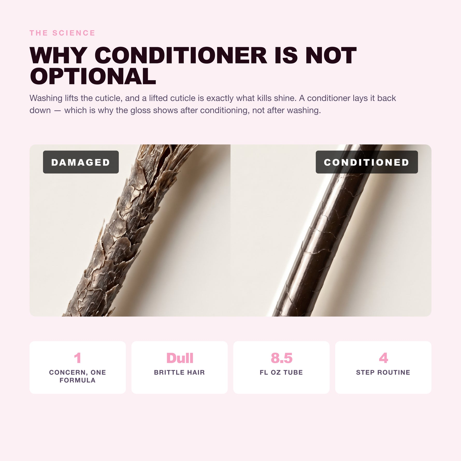 Why dull, weak, brittle hair happens and what ceramide 3 does about it