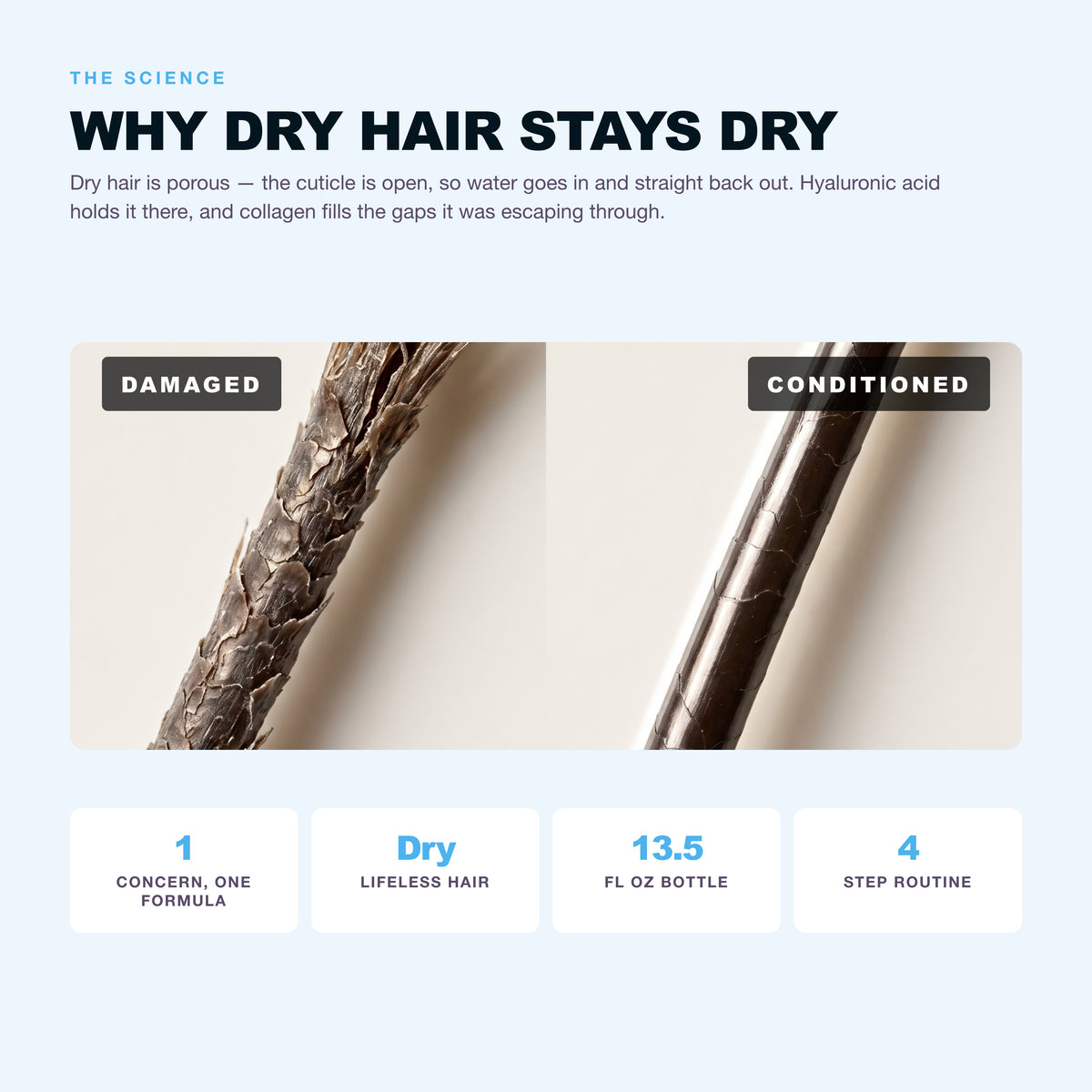 Why dry, lifeless hair happens and what hyaluronic acid does about it