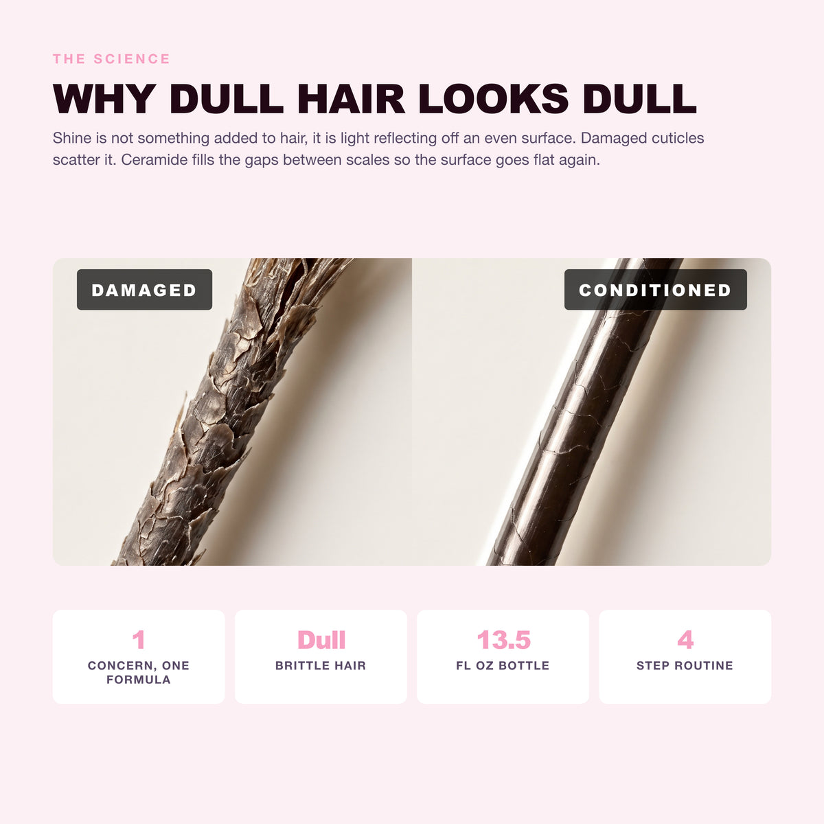 Why dull, weak, brittle hair happens and what ceramide 3 does about it