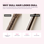 Why dull, weak, brittle hair happens and what ceramide 3 does about it