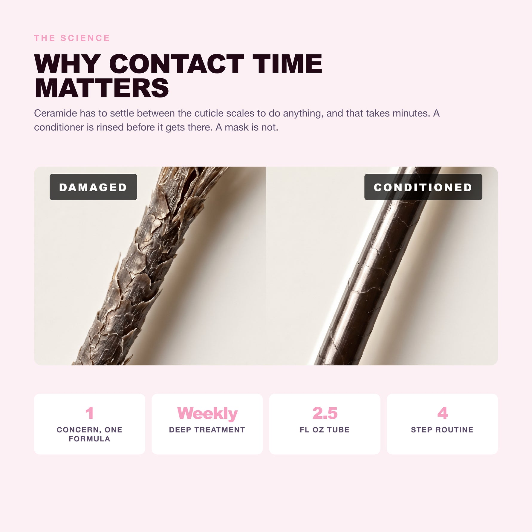 Why dull, weak, brittle hair happens and what ceramide 3 does about it
