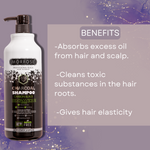 Morfose Professional Activated Carbon Hair Shampoo, Repairs and Protects, Fuller, Healthier, Softer Look, Eliminates Dryness, Damage, Removes Excess Oil on Hair and Scalp, 33.81 Fl oz… - themorfose