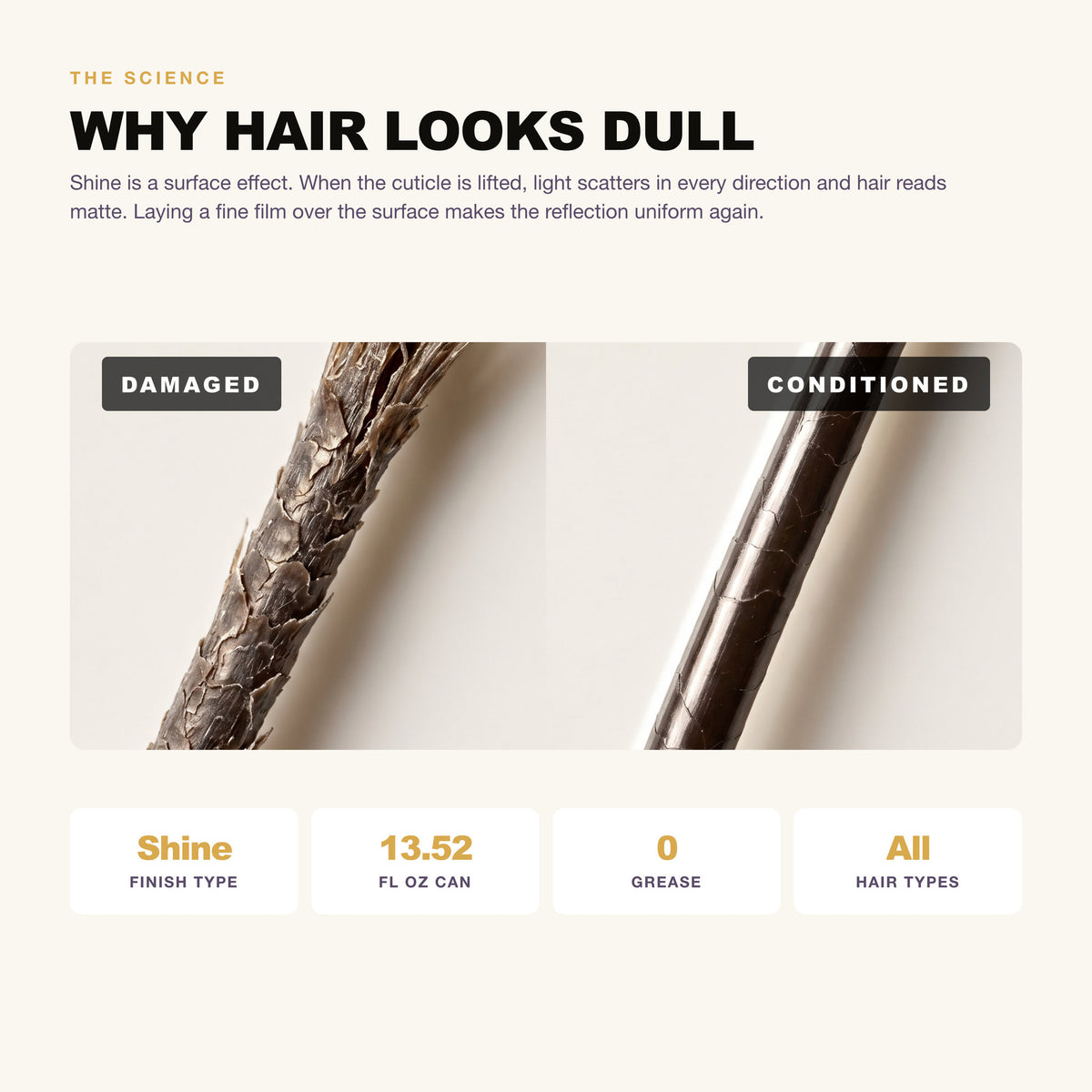 Morfose Styling Shining Spray: why hair looks dull