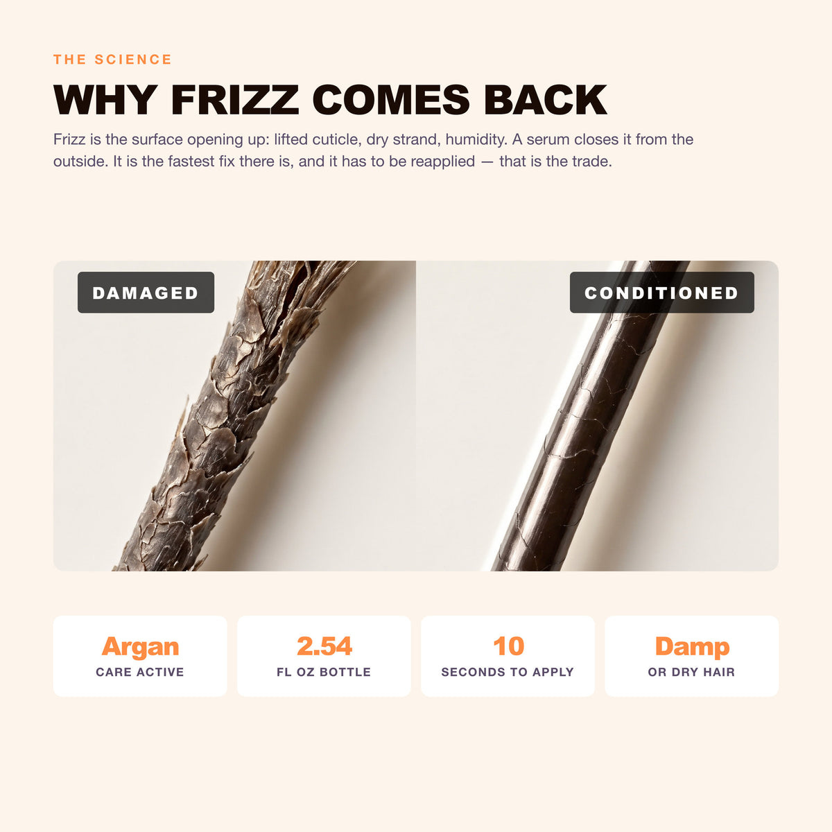 Morfose Oils and Serums Anti-Frizz Serum: why frizz comes back