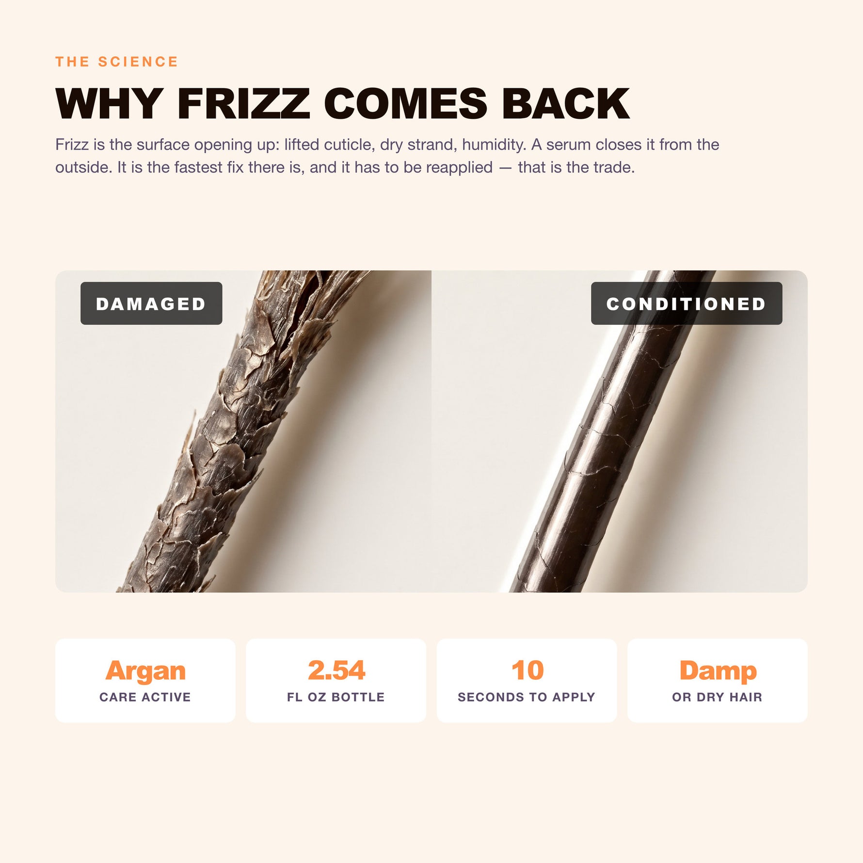 Morfose Oils and Serums Anti-Frizz Serum: why frizz comes back
