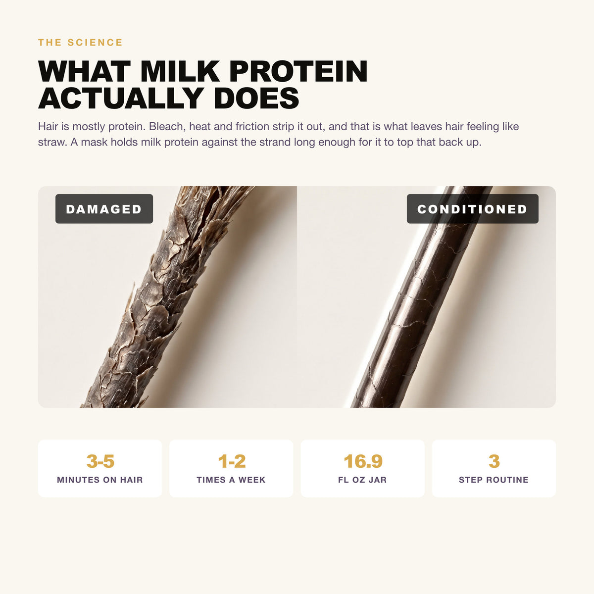 Morfose Milk Therapy hair mask: what milk protein does in five minutes