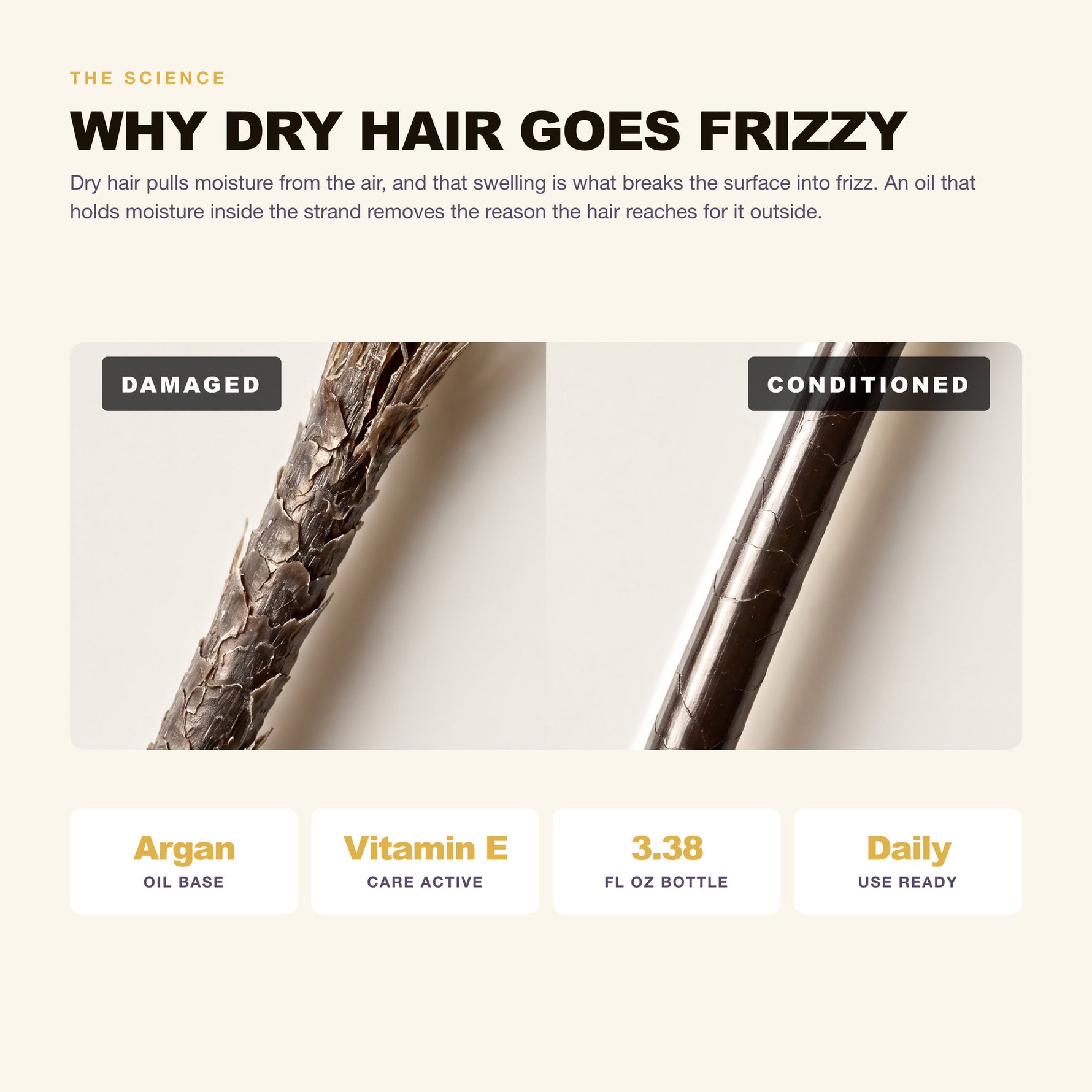 Morfose Oils and Serums Argan Hair Oil: why dry hair goes frizzy