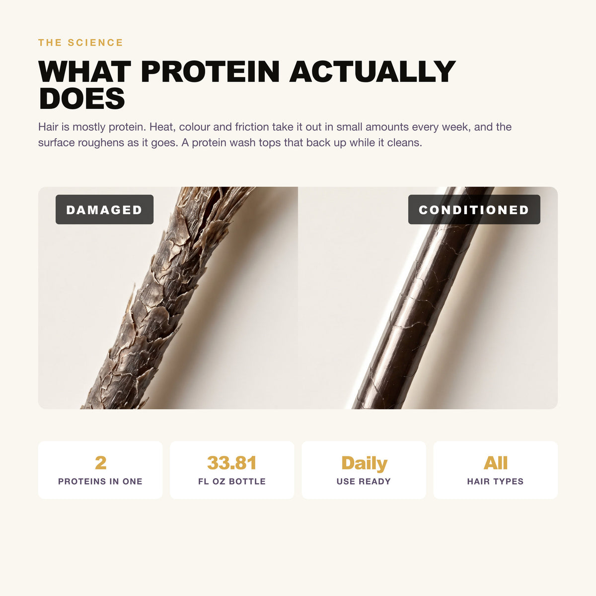Morfose Professional Milk Keratin Shampoo: what protein actually does