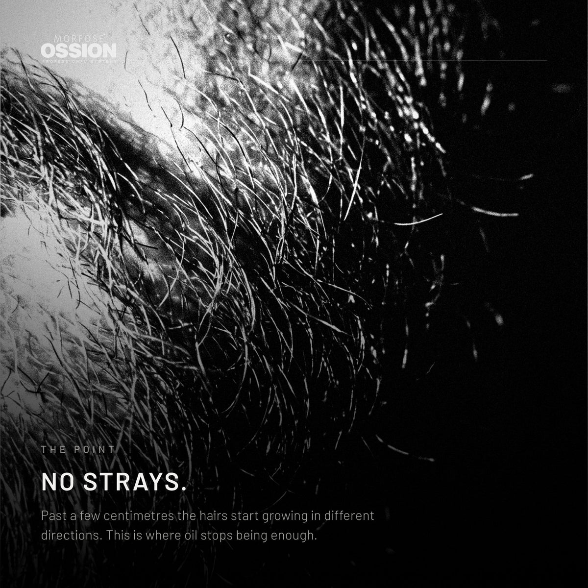 Macro of beard hair with no strays after Ossion Beard Balm