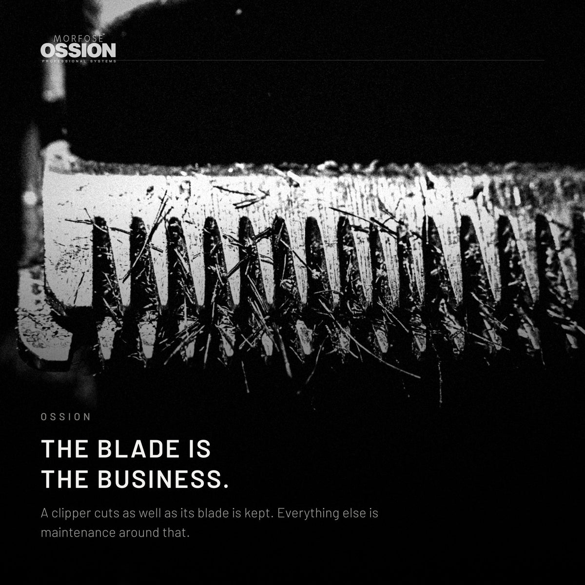 Macro of a clipper blade with cut hair caught between the teeth