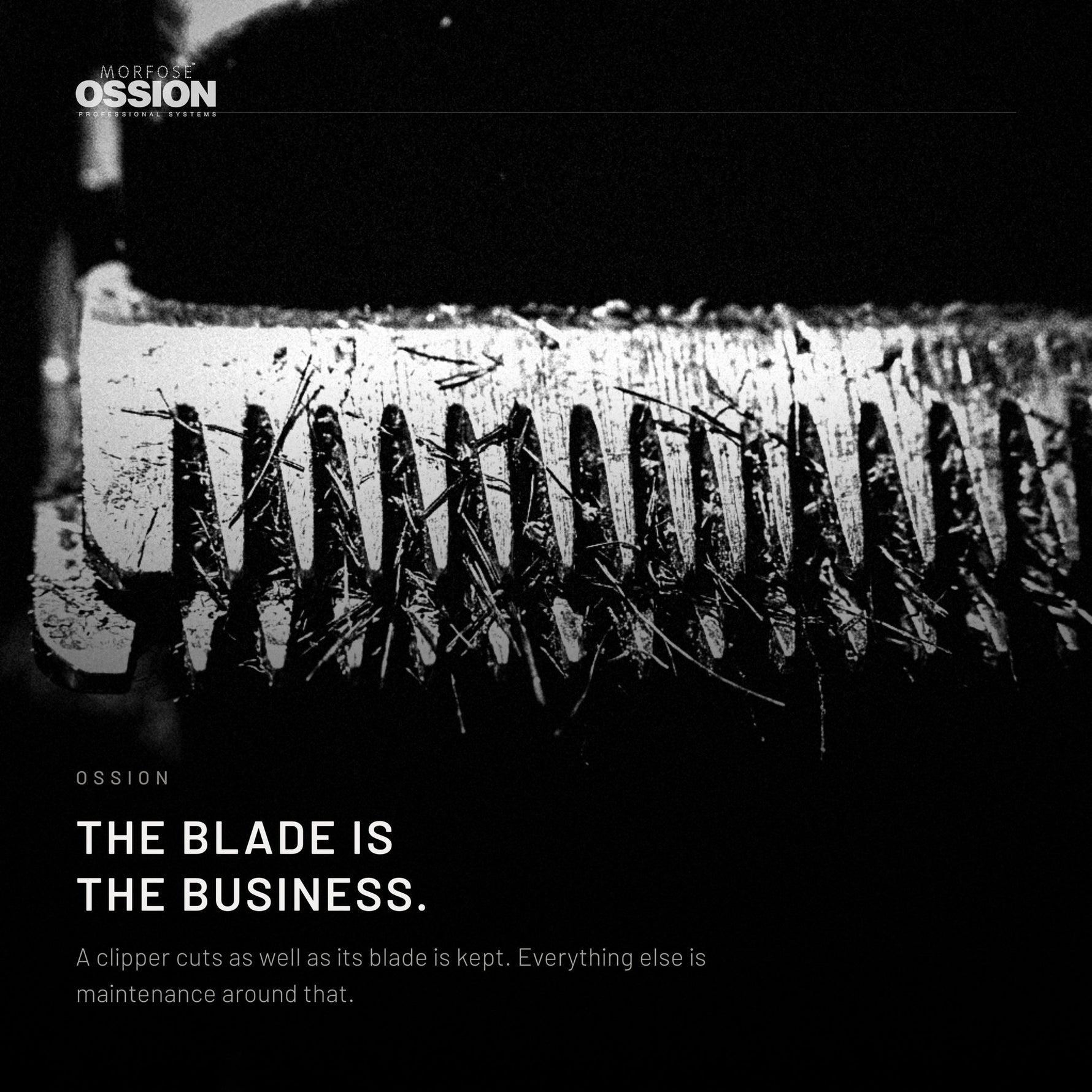 Macro of a clipper blade with cut hair caught between the teeth