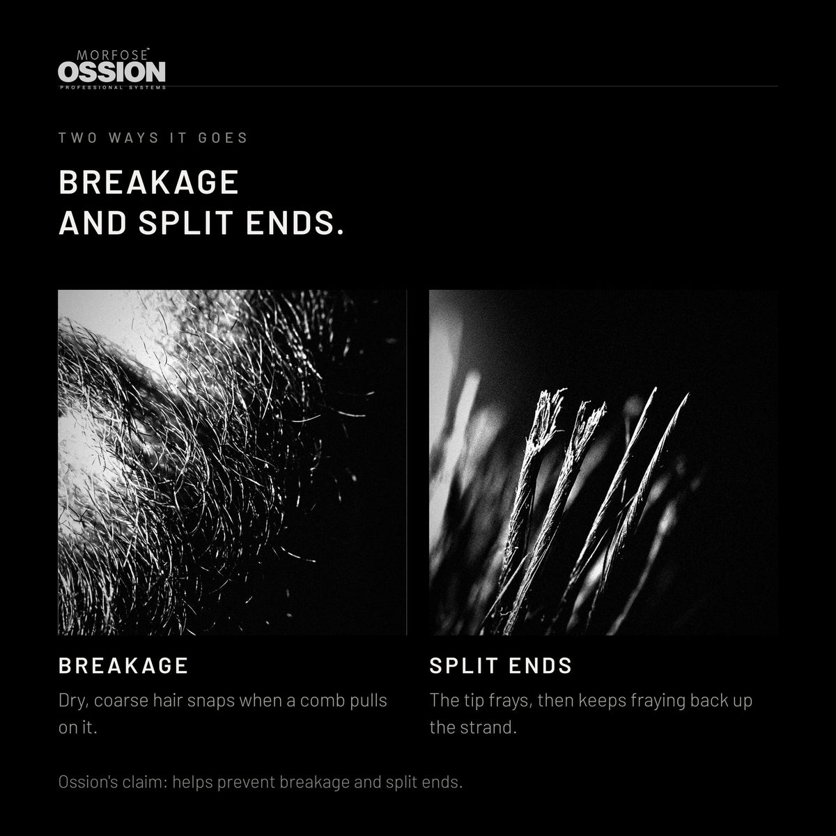 The two ways beard length is lost: breakage and split ends