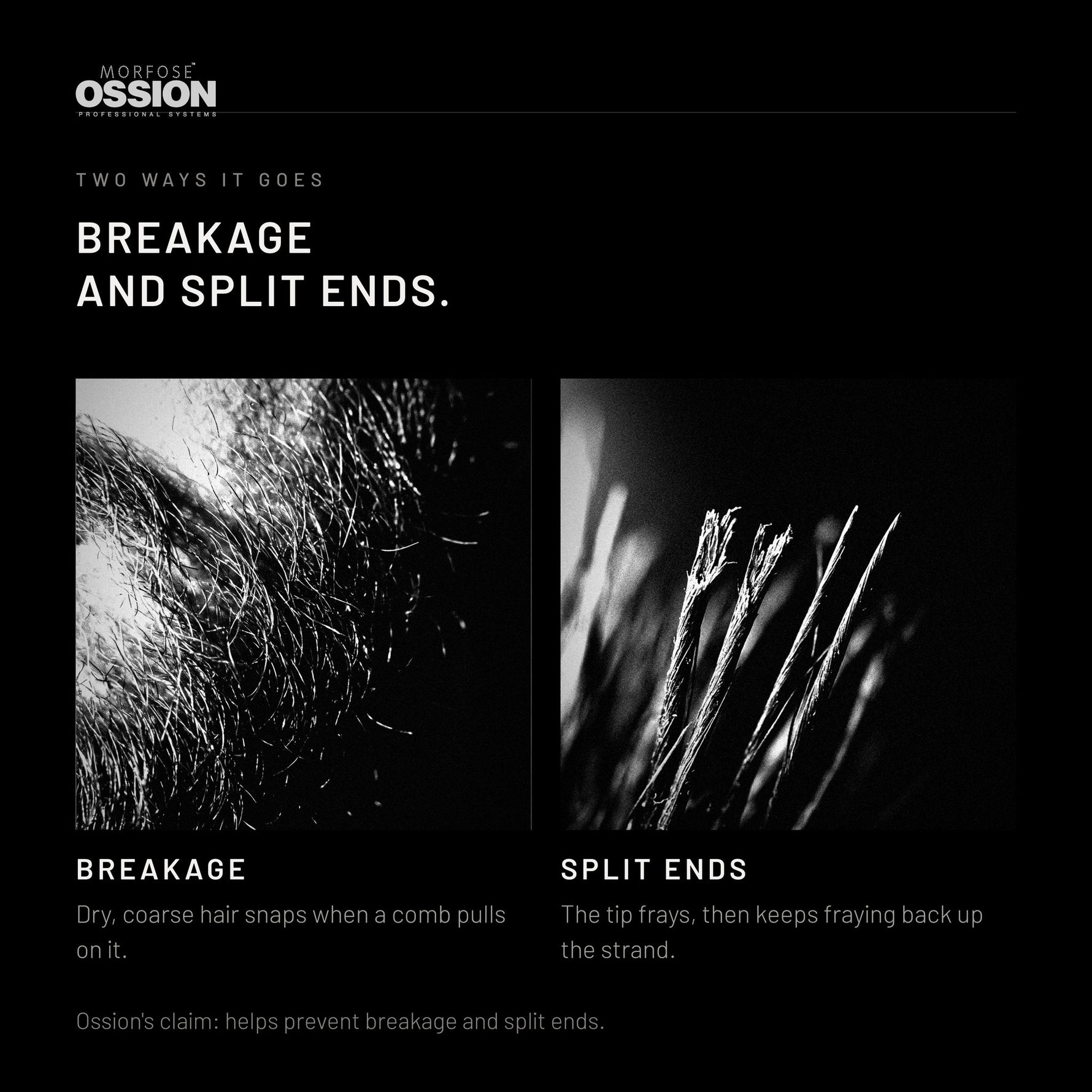 The two ways beard length is lost: breakage and split ends