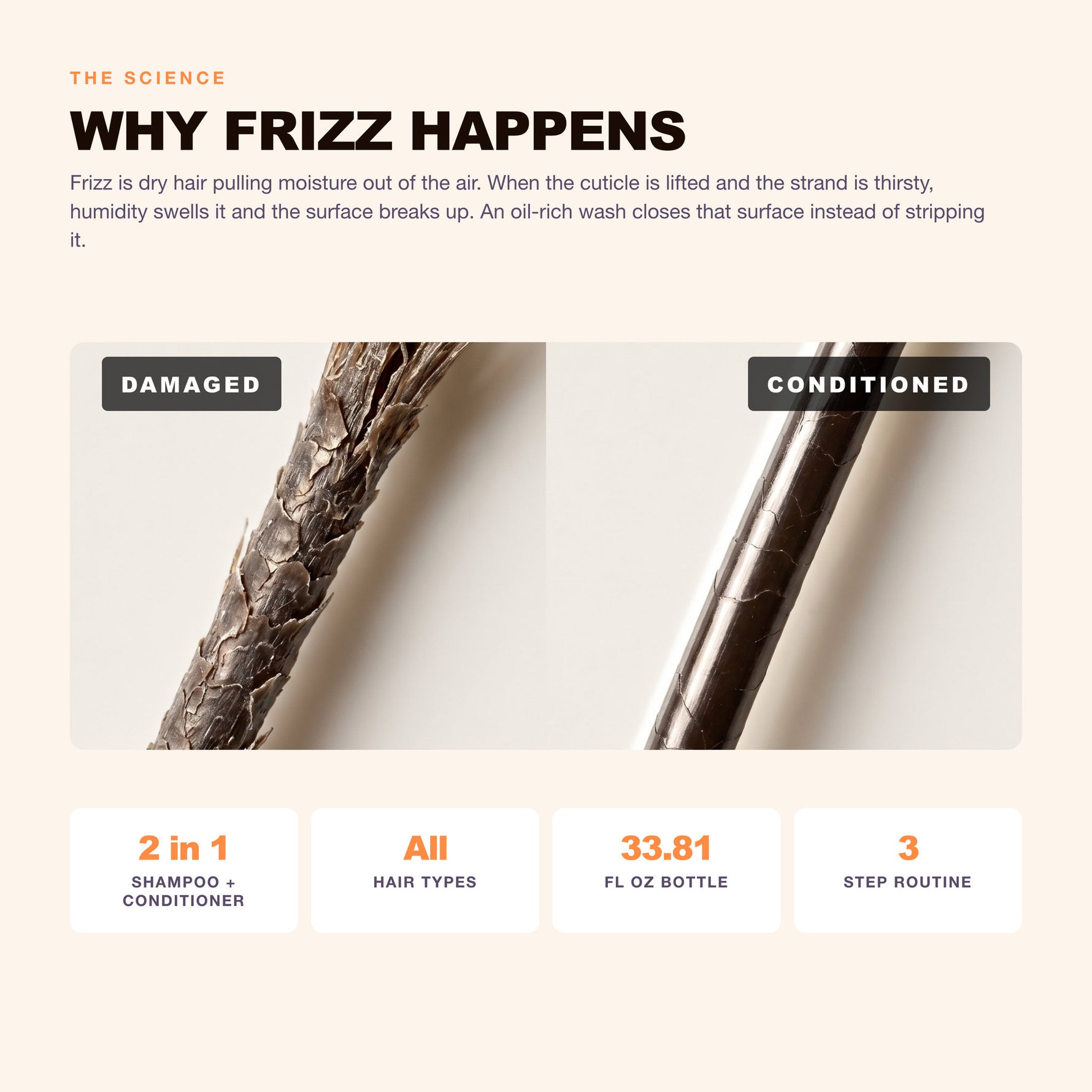 Morfose Argan shampoo: why frizz happens