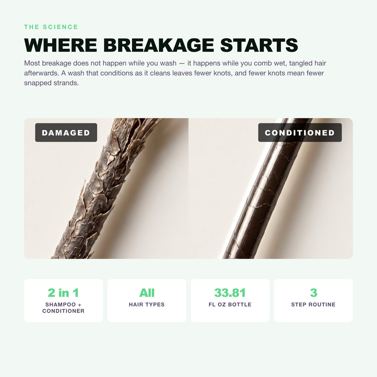 Morfose Biotin shampoo: where breakage starts