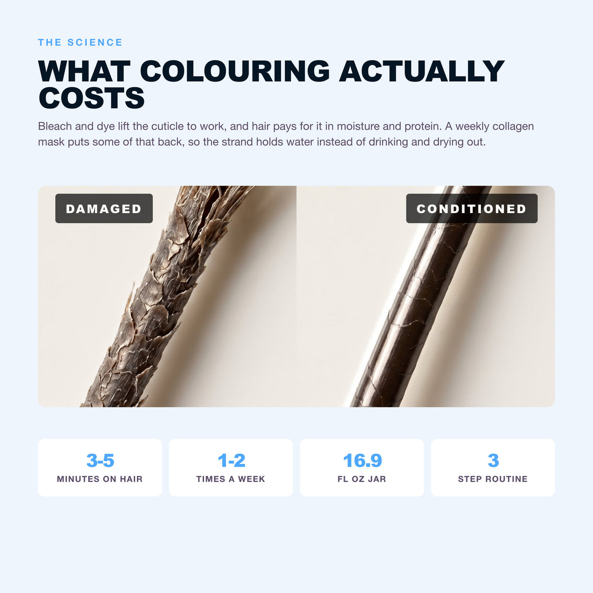 Morfose Collagen hair mask: what collagen does in five minutes