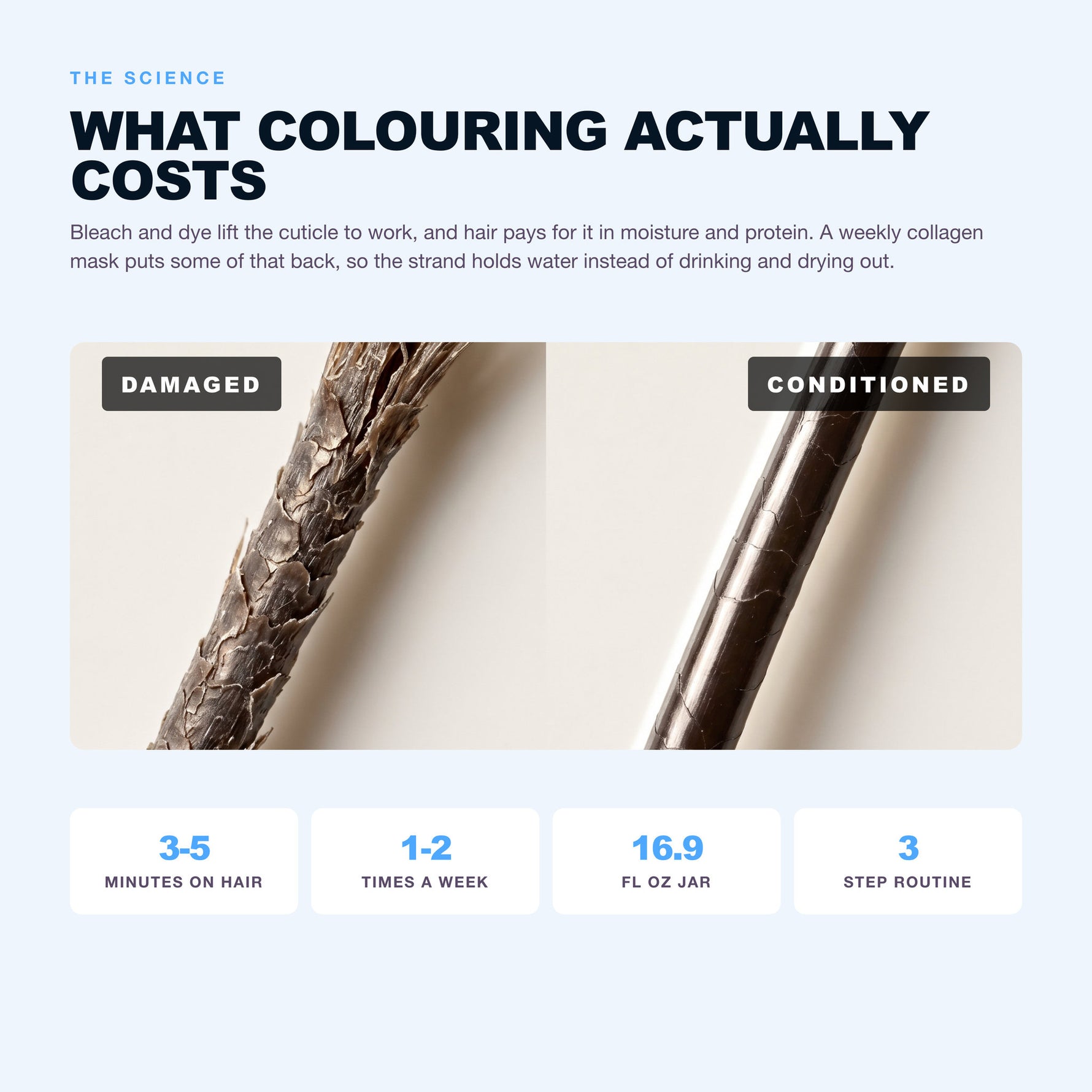 Morfose Collagen hair mask: what collagen does in five minutes