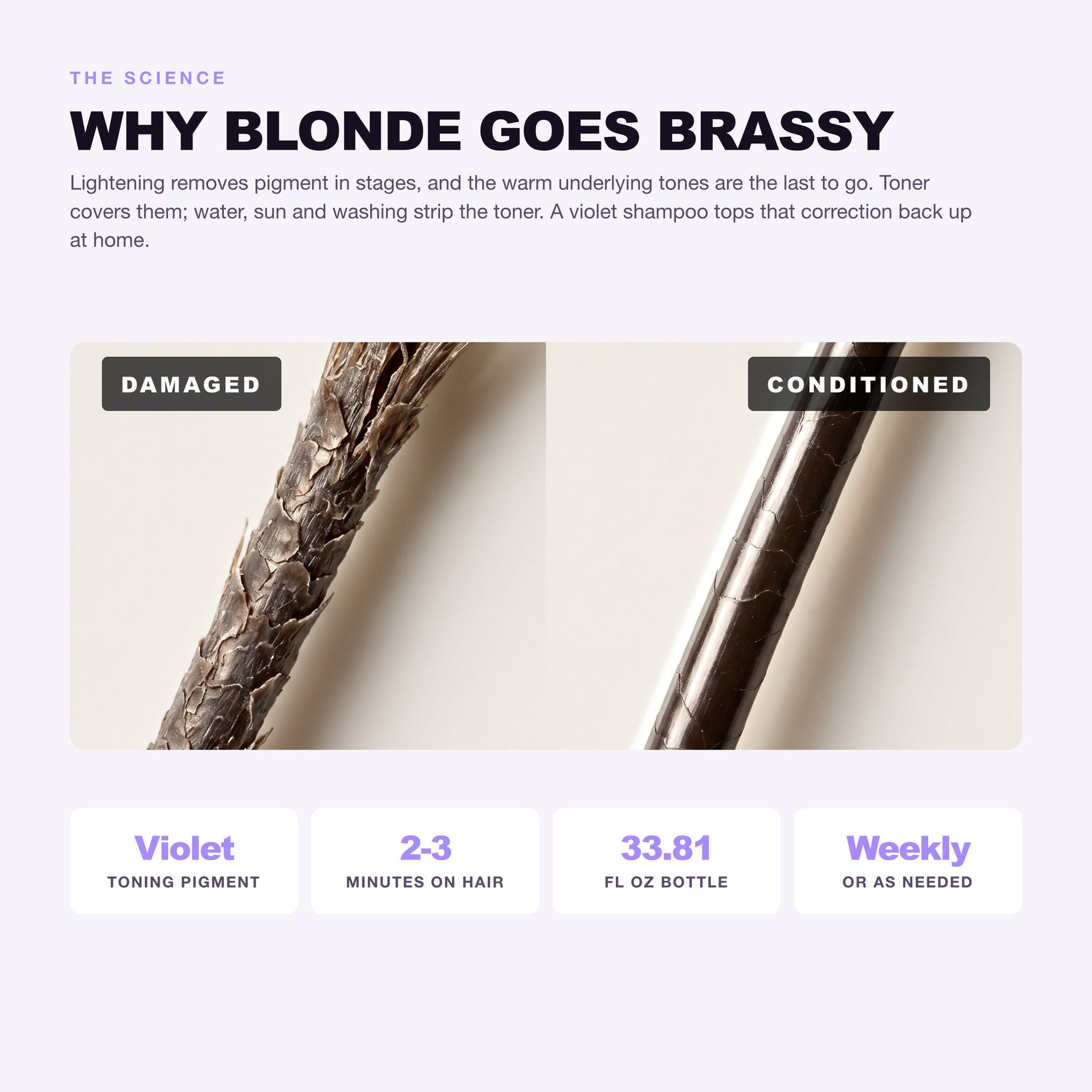 Morfose Professional Silver Shampoo: why blonde goes brassy