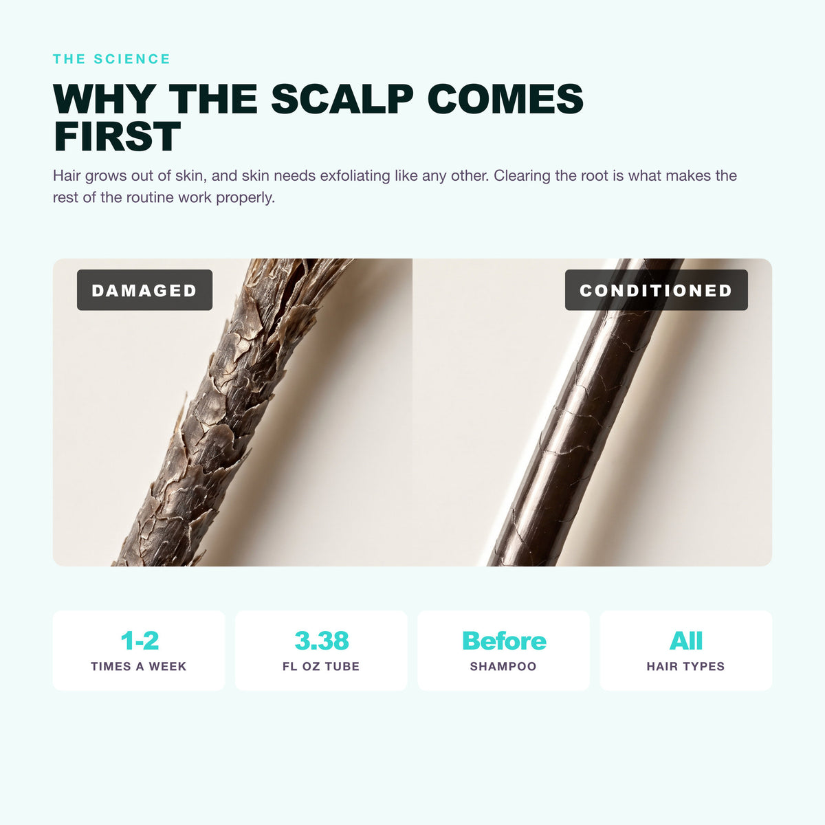 Morfose Quinoa and Hemp Scalp Detox Mask: why the scalp comes first