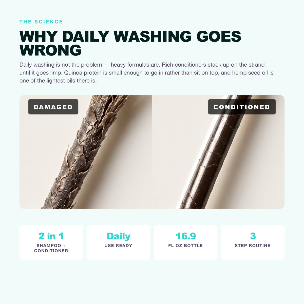 Morfose Quinoa and Hemp shampoo: why daily washing goes wrong