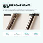 Morfose Professional Anti-Hair Loss Shampoo: why the scalp comes first