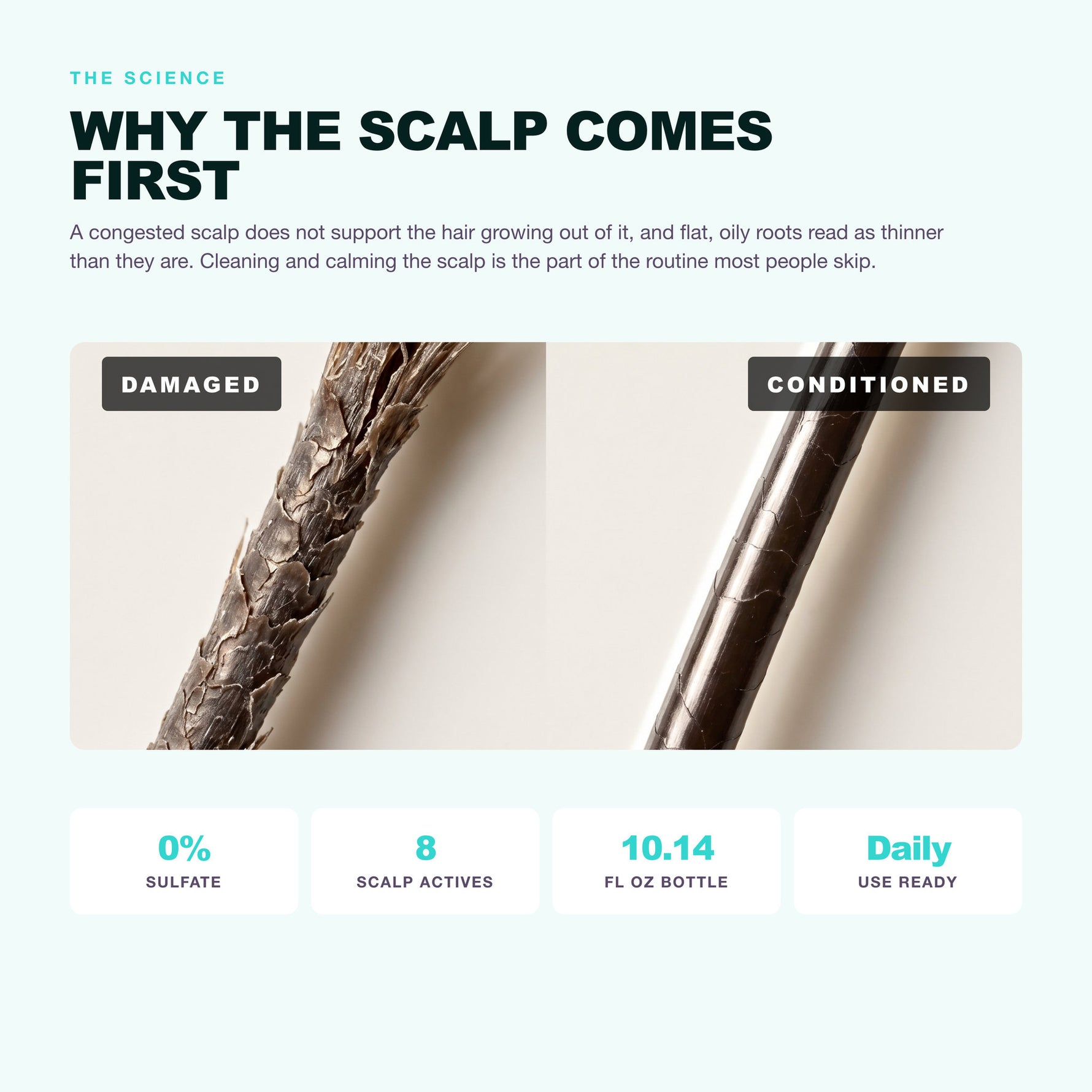 Morfose Professional Anti-Hair Loss Shampoo: why the scalp comes first