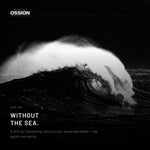 An ocean wave breaking, the look this spray is named after